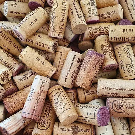 Hotel Restaurant Les Voyageurs